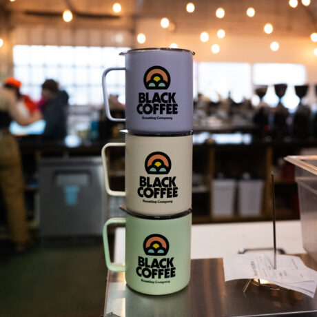 Insulated Camp Mug by MiiR - 12 oz.